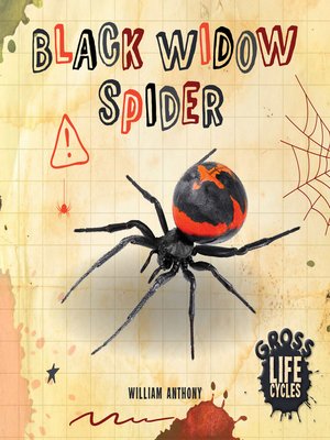 cover image of Black Widow Spider
